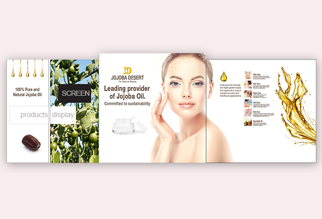Shenkar Graphic Presentation Design